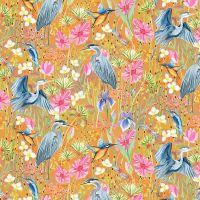 mmDDC12972-Orange Blossom